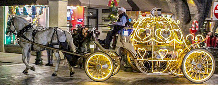 Free carriage rides were part of the holiday lighting festivities.